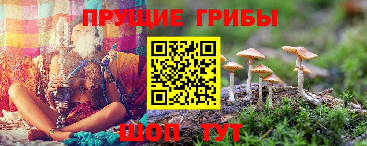 Чехов  Галлюциногенные грибы ЛСД  Вход с VPN 